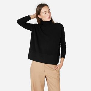 Everlane The Cashmere Square Turtleneck